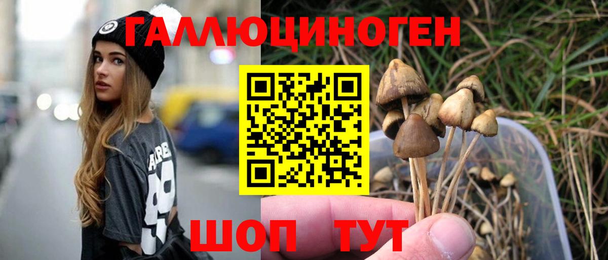 Галлюциногенные грибы MAGIC MUSHROOMS Димитровград